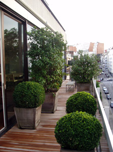 Christophe Ternest | architecte d'intérieur