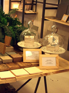 Christophe Ternest | architecte d'intérieur