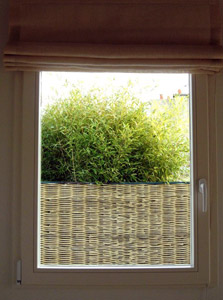 Christophe Ternest | architecte d'intérieur