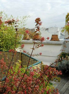 Christophe Ternest | architecte d'intérieur